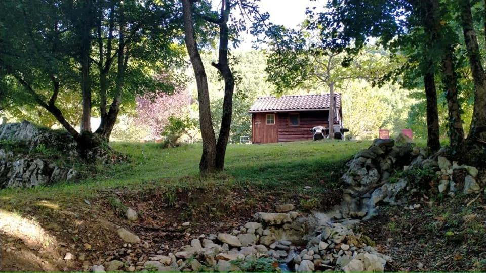 Les Divines Cascades Villa Roquefort-Les-Cascades Exterior foto